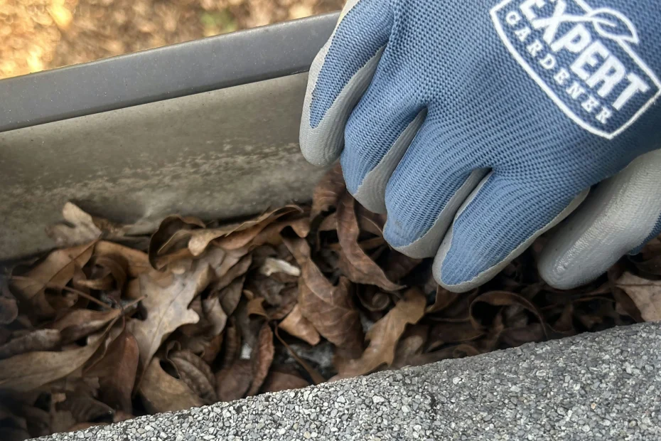 Everglades City Gutter Cleaning