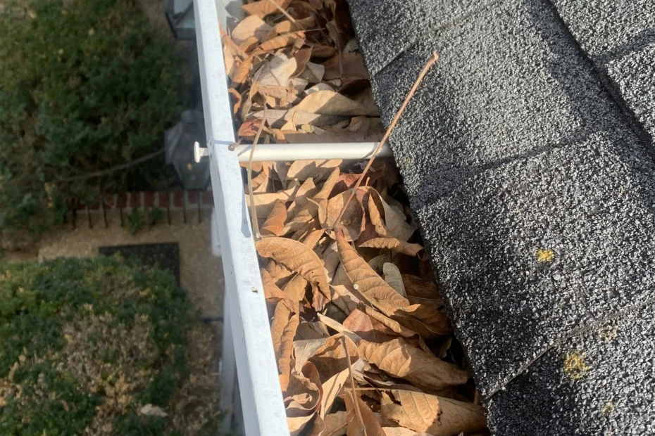 Everglades City Gutter Cleaning