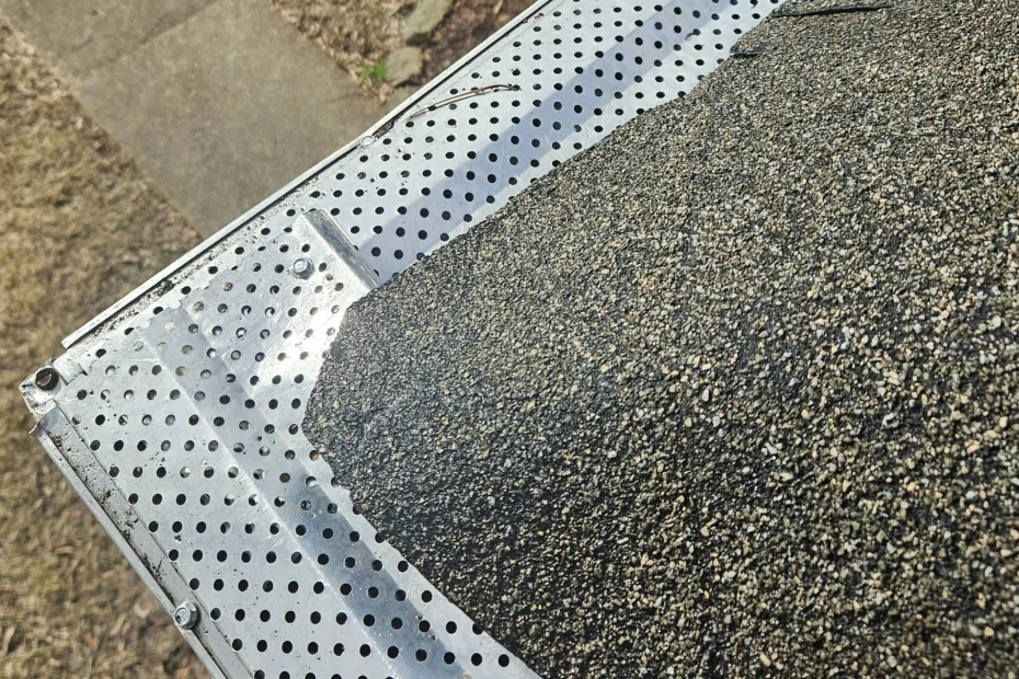 Everglades City Gutter Cleaning