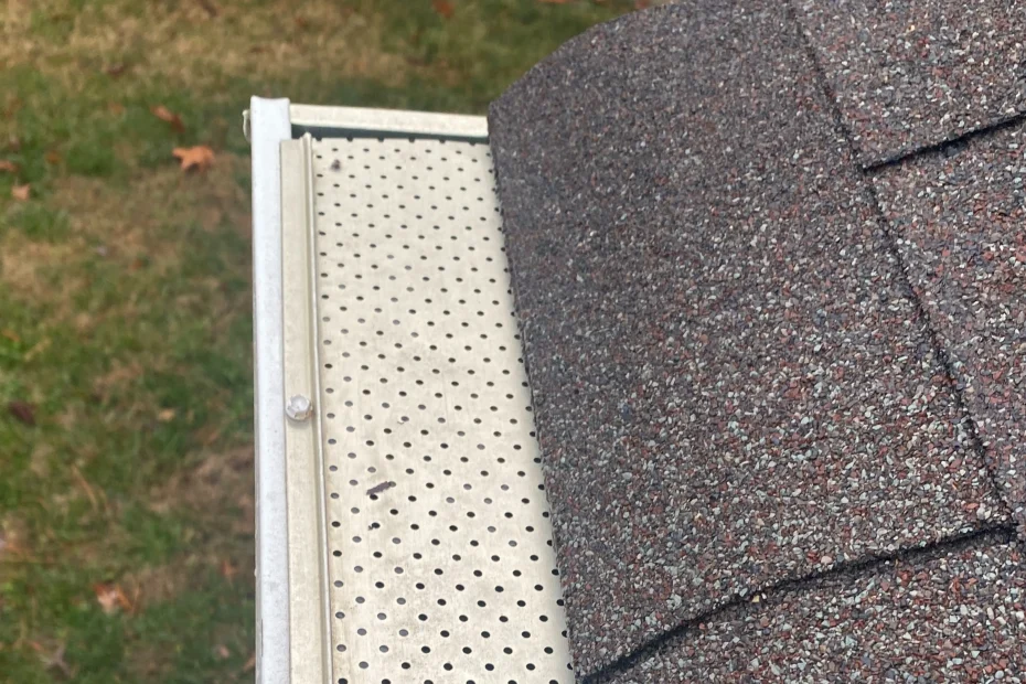 Everglades City Gutter Cleaning