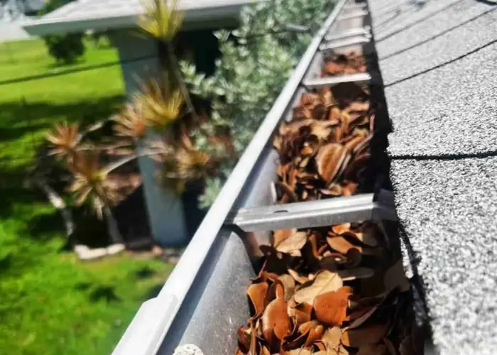 Gutter Cleaning Everglades City FL home page